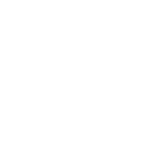Chapman Family Values Logo